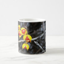 Bayas agridulces tazas