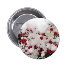 Bayas de la nieve pin