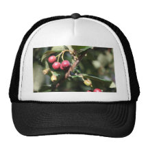 Bayas en Bush Gorras De Camionero