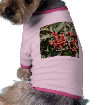 Bayas rojas del árbol camisa de mascota