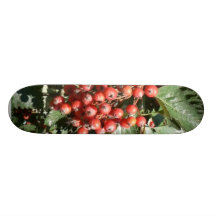 Bayas rojas del árbol monopatín