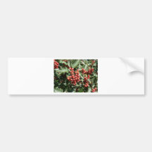 Bayas rojas del árbol pegatina de parachoque
