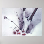 Bayas rojas en nieve poster