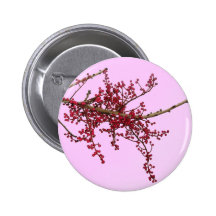 Bayas rojas en rama de árbol inactiva pin