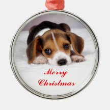 Beagle Adorno Para Reyes