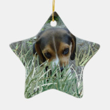 Beagle en la hierba ornamento de navidad