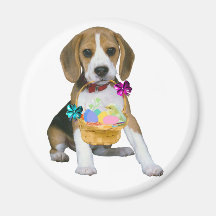 Beagle Pascua Iman De Frigorífico