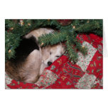 Beagle soñoliento del navidad tarjeton