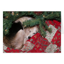 Beagle soñoliento del navidad tarjeton