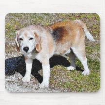 Beagles de los perros alfombrillas de ratones