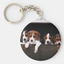 Beagles Llaveros
