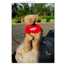 BearNPlush Tarjetón