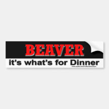 beaverbumpersticker etiqueta de parachoque