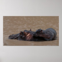 Bebé a bordo poster