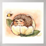 Bebé de la flor del erizo poster