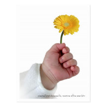 Bebé de la primavera tarjetas postales
