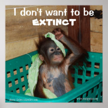 Bebé de Pouty de la protección de la fauna Posters