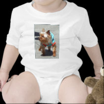 Bebé de Yorkshire Terrier camisetas