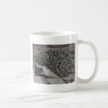 bebé del erizo del chocolate tazas de café