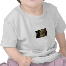 Bebé del jengibre camisetas
