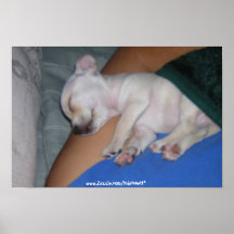 Bebé Tired-Print. Posters
