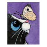 Bebé y el blanco grande - postal del gato