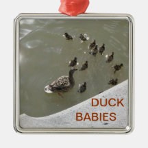 BEBÉS DEL PATO ORNATOS