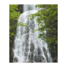 Bebidas espirituosas de las naturalezas impresion de lienzo
