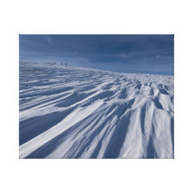 Beca del invierno lona estirada galerias