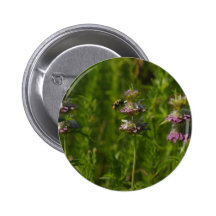 BeeFlower Pin