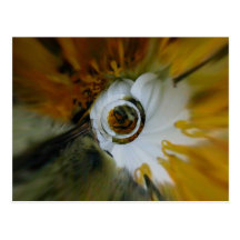 Beez remolinado tarjetas postales