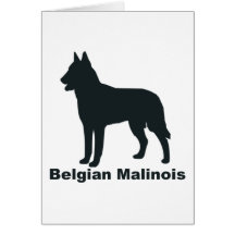 Belga Malinois Felicitación
