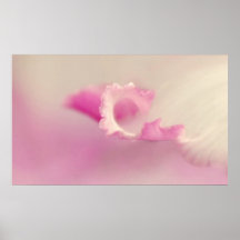 Bella Rosa Plakat