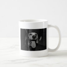 Bella tonto tazas de café