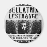 Bellatrix Lestrange quiso el poster Iman De Nevera