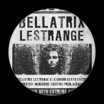 Bellatrix Lestrange quiso el poster imanes