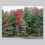 Belleza 10 x del otoño impresión fotográfica 8 fotografía