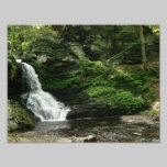 Belleza 11 x de la cascada impresión fotográfica 8 fotografía