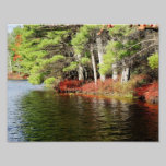 Belleza 11 x del otoño impresión fotográfica 8,5 fotografía