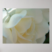 Belleza blanca posters