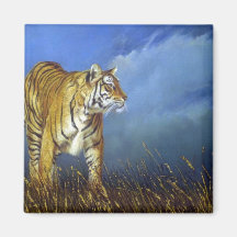 Belleza de Bengala, tigre Iman Para Frigorífico