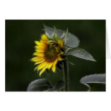 Belleza de Fractalius del girasol Felicitacion