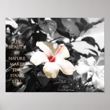 Belleza de la flor posters