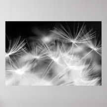 Belleza de la macro del diente de león posters
