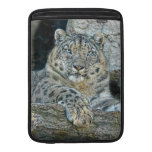 Belleza de la onza funda macbook air
