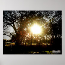 Belleza de la simplicidad poster