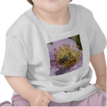 Belleza de las naturalezas camisetas