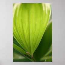 Belleza de una hoja II Poster