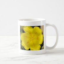 Belleza del al revés tazas