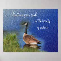 Belleza del ganso de Canadá del poster inspirado d